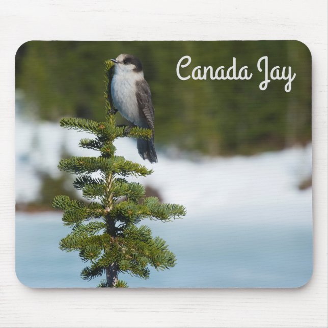 Mousepad Canada Jay (Frente)