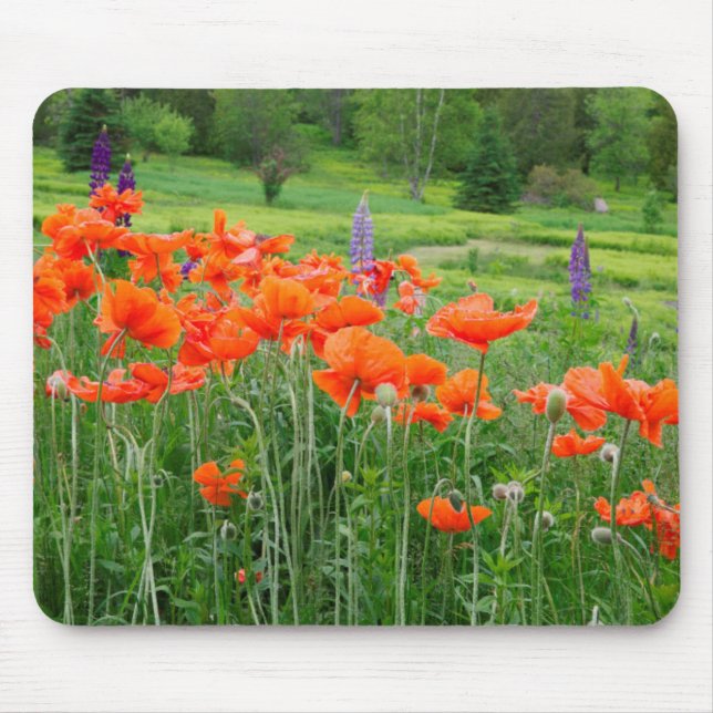 Mousepad Canadá, New Brunswick, . Paisagem (Frente)