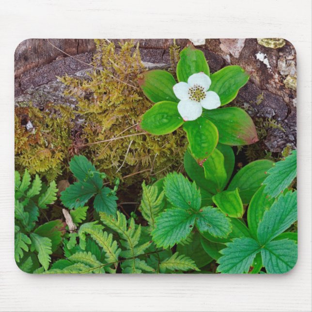 Mousepad Canadá, Nova Brunswick, ,  2 (Frente)