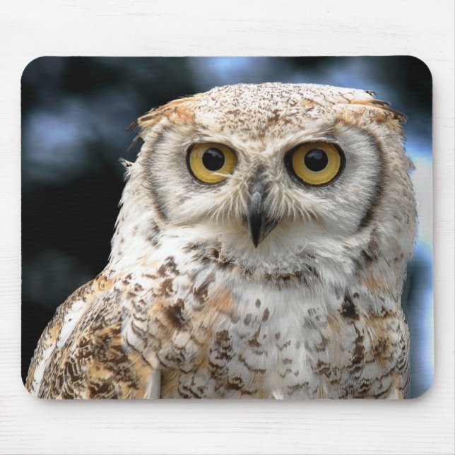 Mousepad Canadian Owl (Frente)