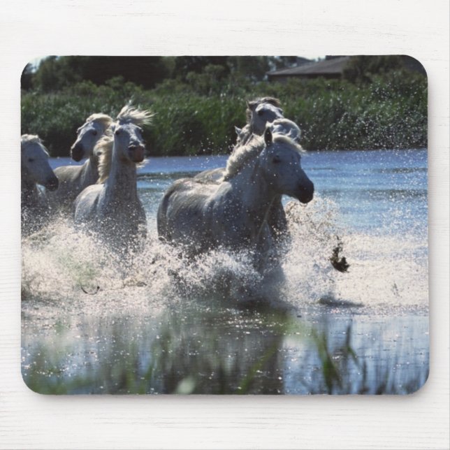 Mousepad Canal de Passagem de Chintoteague Ponies (Frente)