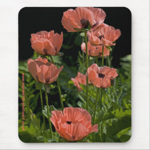 Mousepad Candy Pop Mousemat