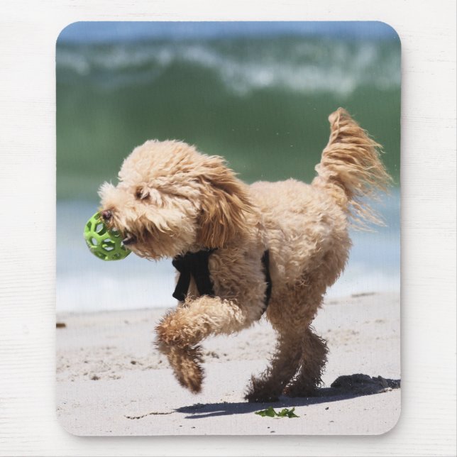 Mousepad Caniche - abricó - jogo da caniche (Frente)