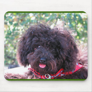 Mousepad Caniche diminuta preta - JoJo
