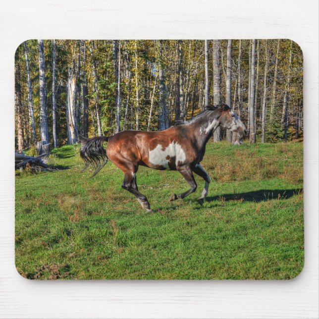 Mousepad Canterna Paint Stallion & Forest Equine Foto (Frente)
