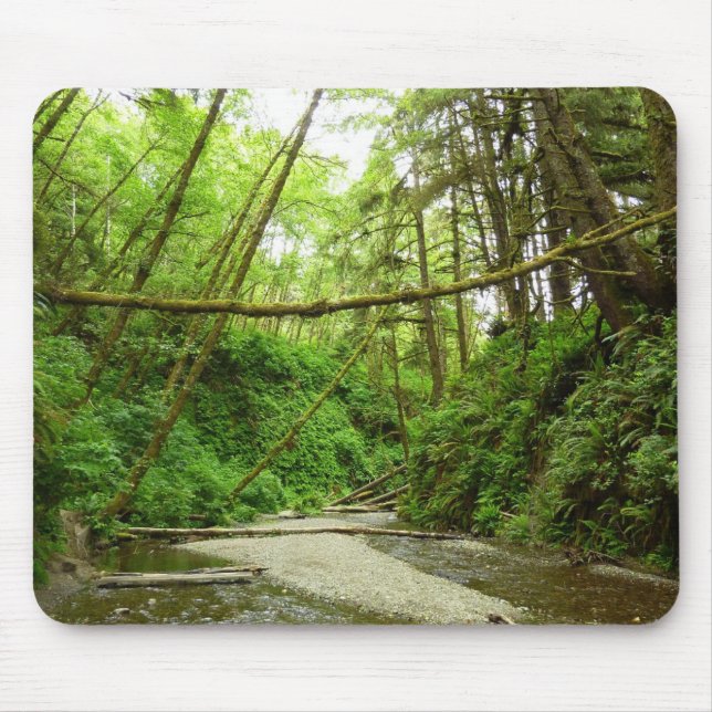 Mousepad Canyon Fern I no Parque Nacional Redwood (Frente)