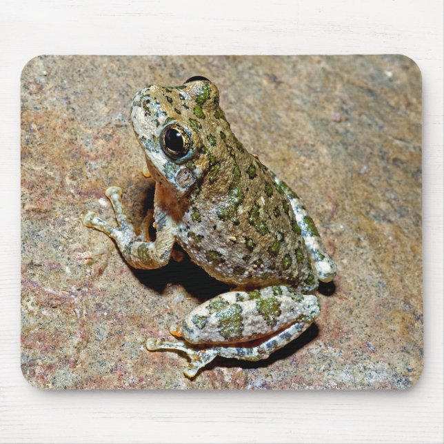 Mousepad Canyon Treefrog (Frente)