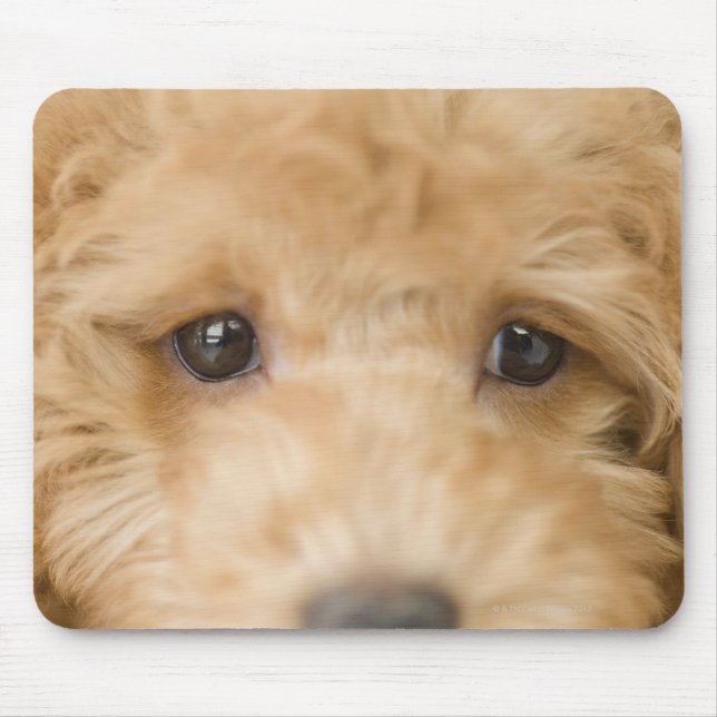 Mousepad Cão (Frente)