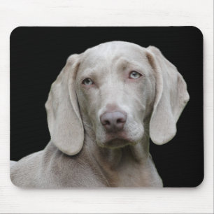 Mousepad cão