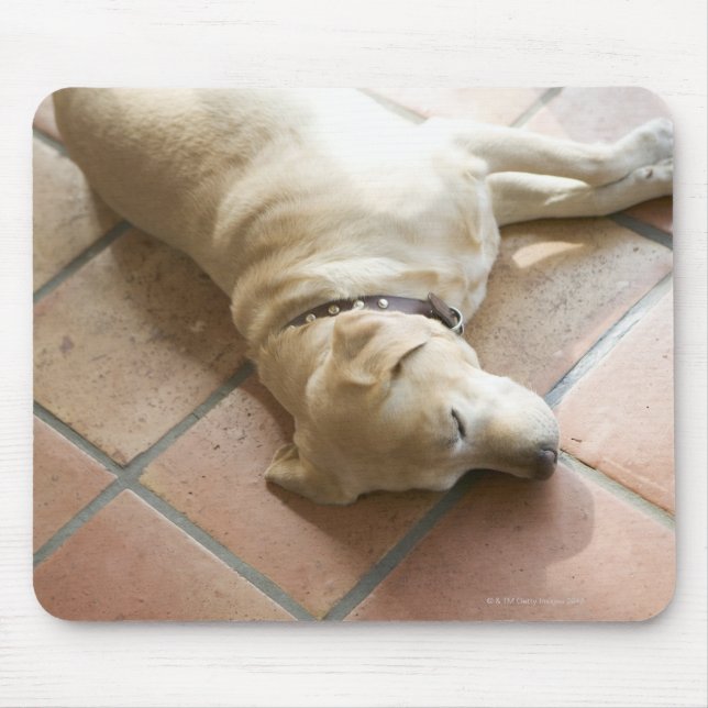 Mousepad Cão 3 (Frente)
