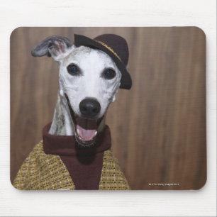 Mousepad Cão acima vestido de Whippet na mesa de jogo