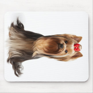 Mousepad Cão adorável bonito