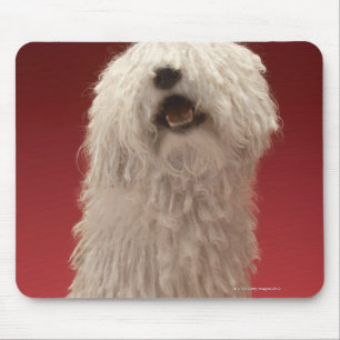 Mousepad Cão bonito de Komondor