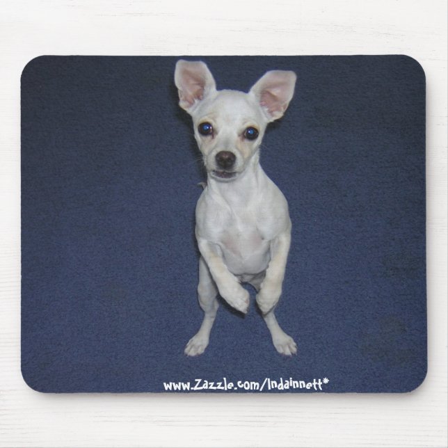 Mousepad Cão bonito Up-Mousepad. (Frente)