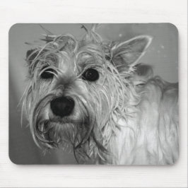 Mousepad Cão bonito - Westie (montanhas ocidentais Terrier)