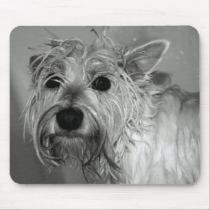 Mousepad Cão bonito - Westie (montanhas ocidentais Terrier)