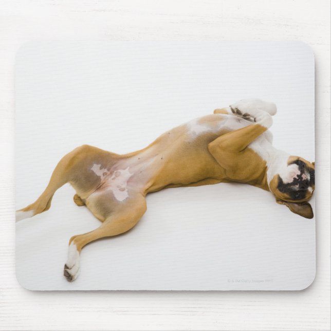 Mousepad Cão-boxer deitado de costas no chão (Frente)