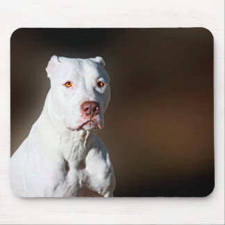 Mousepad Cão branco do salvamento de Pitbull Terrier do