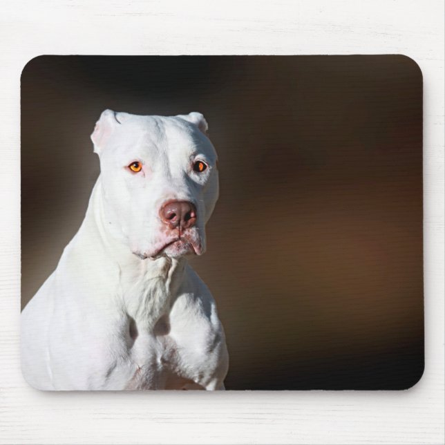Mousepad Cão branco do salvamento de Pitbull Terrier do (Frente)