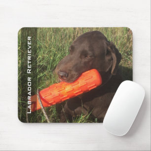 Mousepad Cão Caçador Personalizado de Fotos do Labrador R
