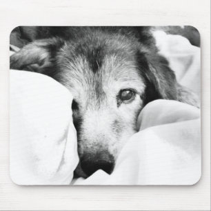 Mousepad cão-cachorrinho sonolento na cama cinza branca pre