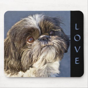 Mousepad Cão Cachorro Cachorro Shih Tzu