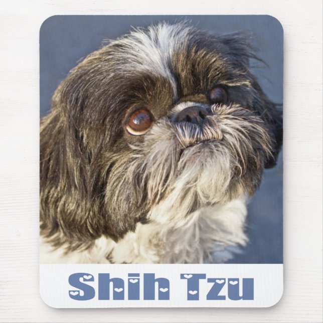 Mousepad Cão Cachorro Cachorro Shih Tzu (Frente)