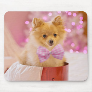 Mousepad Cão Cachorro com Fotografia de Natal de Arco Rosa