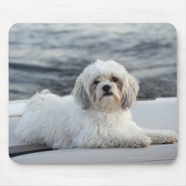 Mousepad Cão colocado junto à água (Frente)