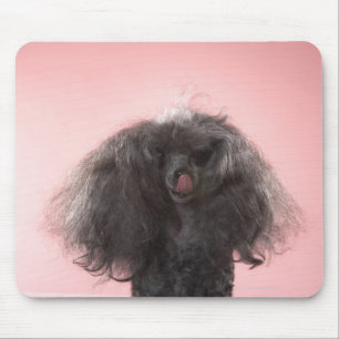 Mousepad Cão com cabelo na frente da cara e da língua par
