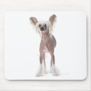 Mousepad Cão com crista chinês Mouspad