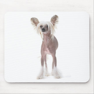 Mousepad Cão com crista chinês Mouspad