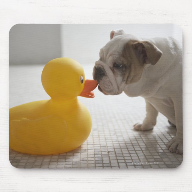 Mousepad Cão com pato de plástico (Frente)