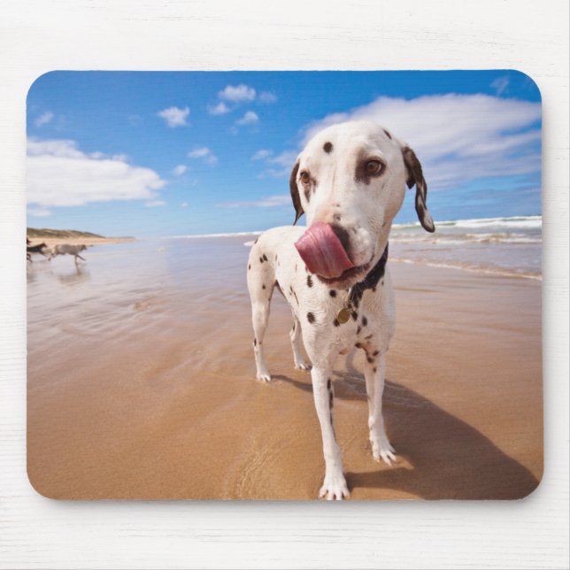 Mousepad Cão Dalmatian na praia (Frente)