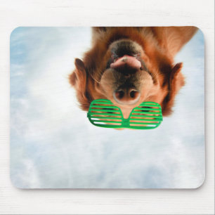 Mousepad Cão das imagens   de Getty com vidros