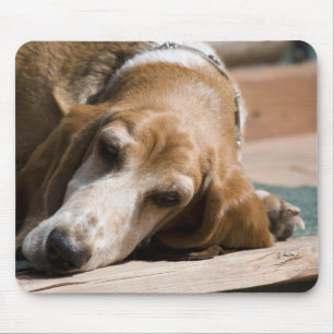 Mousepad cão de basset cansado