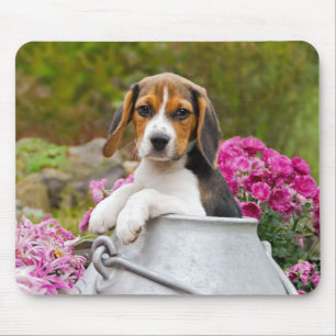Mousepad Cão de Beagle Cachorro Cachorro Cachorro na Chuva