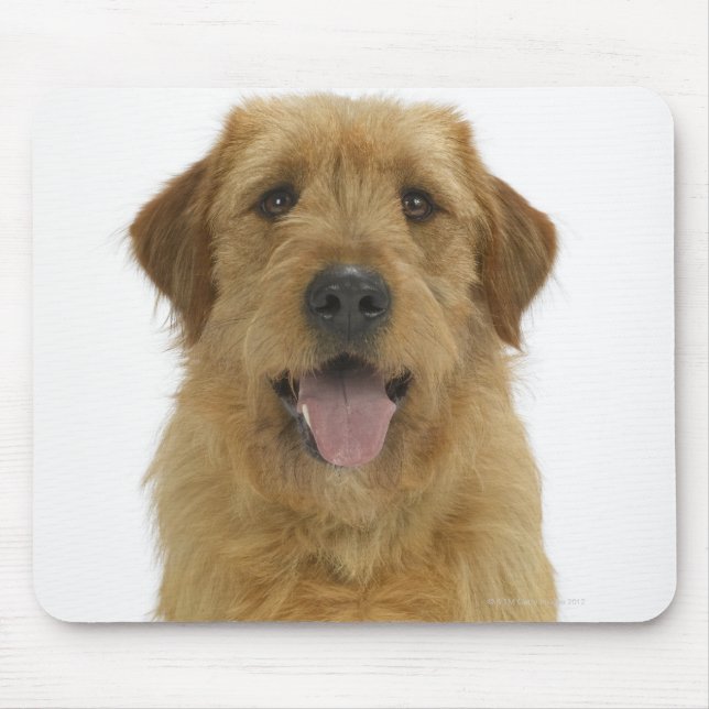 Mousepad Cão de Branco 44 (Frente)