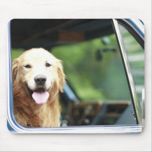 Mousepad Cão de estimação que senta-se em um carro