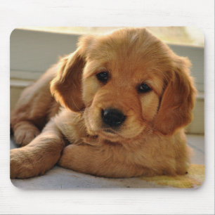 Mousepad Cão de filhote de cachorro adorável do golden