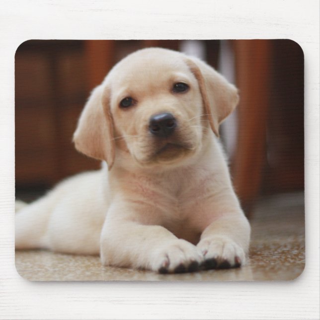 Mousepad Cão de filhote de cachorro amarelo de Labrador do (Frente)