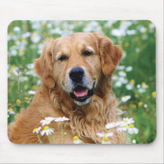 Mousepad Cão de filhote de cachorro do golden retriever