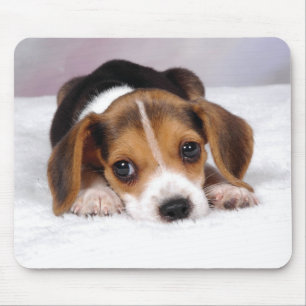 Mousepad Cão de filhote de cachorro do lebreiro