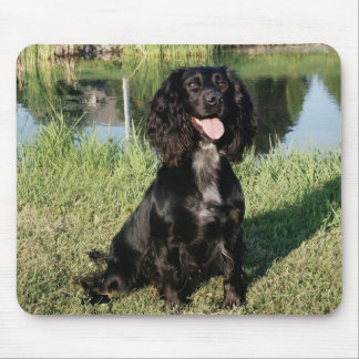 Mousepad Cão de filhote de cachorro preto de cocker spaniel
