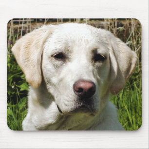 MOUSEPAD CÃO DE LABRADOR