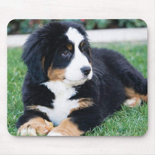 Mousepad Cão de montanha de Bernese (Frente)