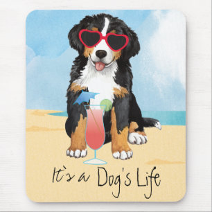 Mousepad Cão de montanha de Bernese do verão