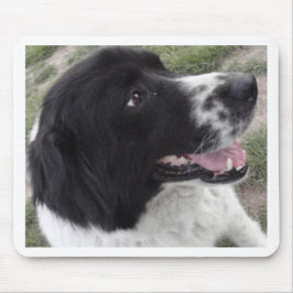 Mousepad Cão de pastor búlgaro de Sara