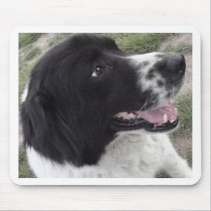 Mousepad Cão de pastor búlgaro de Sara