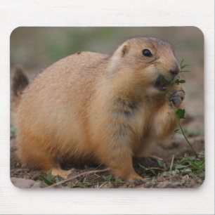 Mousepad Cão de pradaria